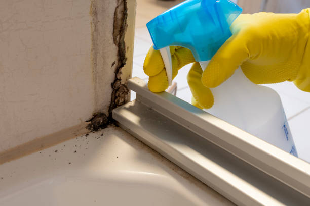 Mold Documentation for Insurance Claims in Lancaster, WI